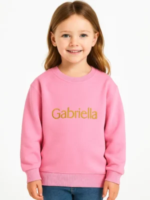 20250913_2050_Pink Embroidered Sweatshirt_remix_01k51rrqnteyqv1p5qyvh0082v