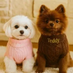 Embroidered Pet Jumpers